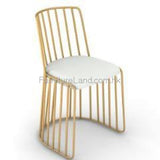 Dining Chair: Dc74 Chairs